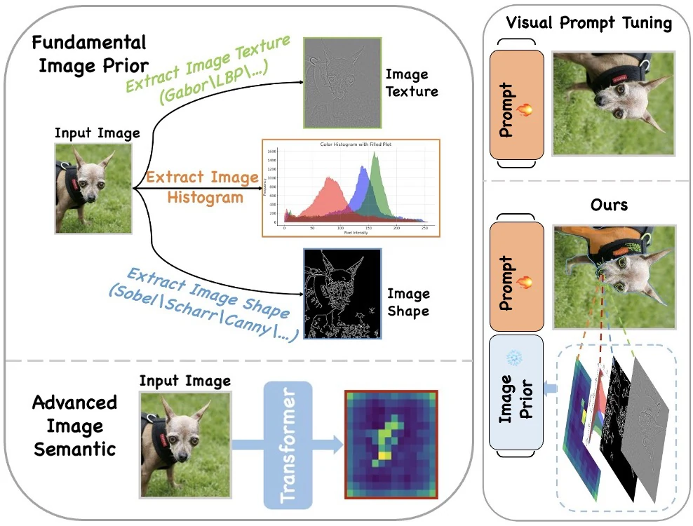 Building prompts from complementary visual priors